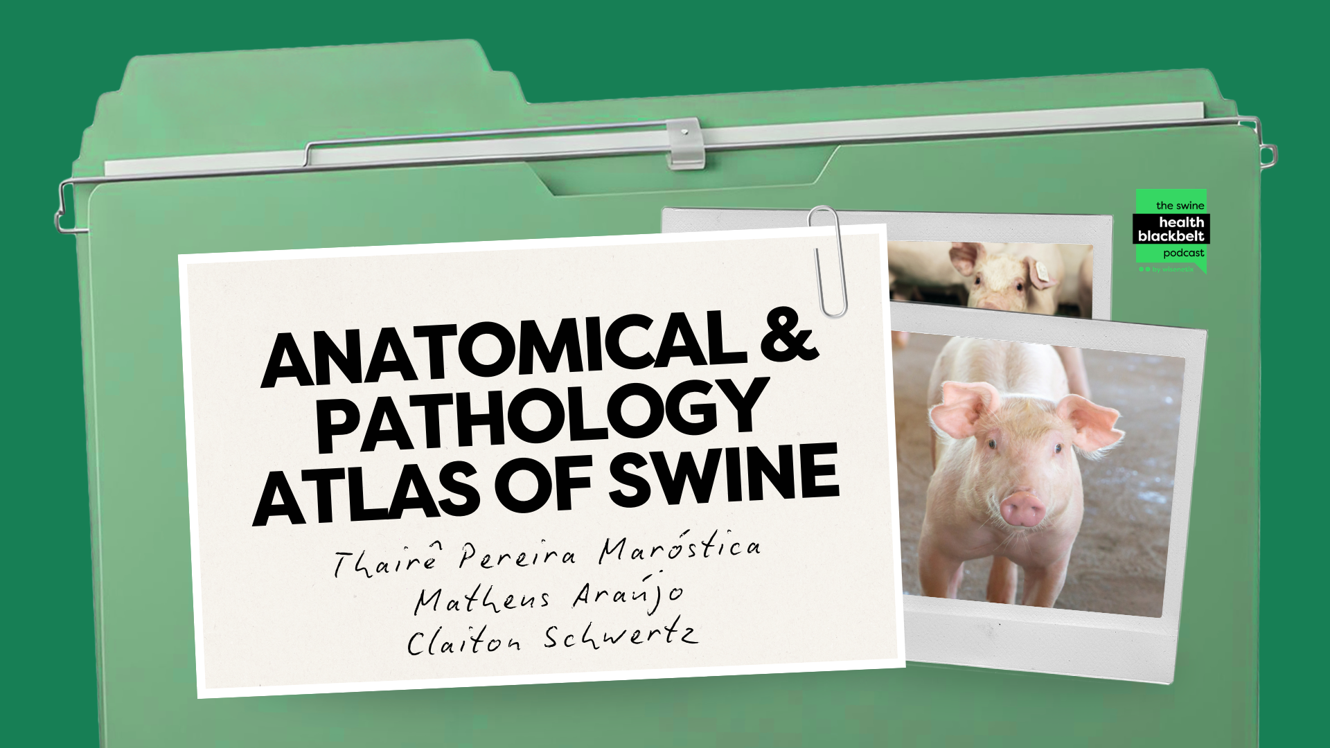 Anatomical & Pathology Atlas of Swine Cover
